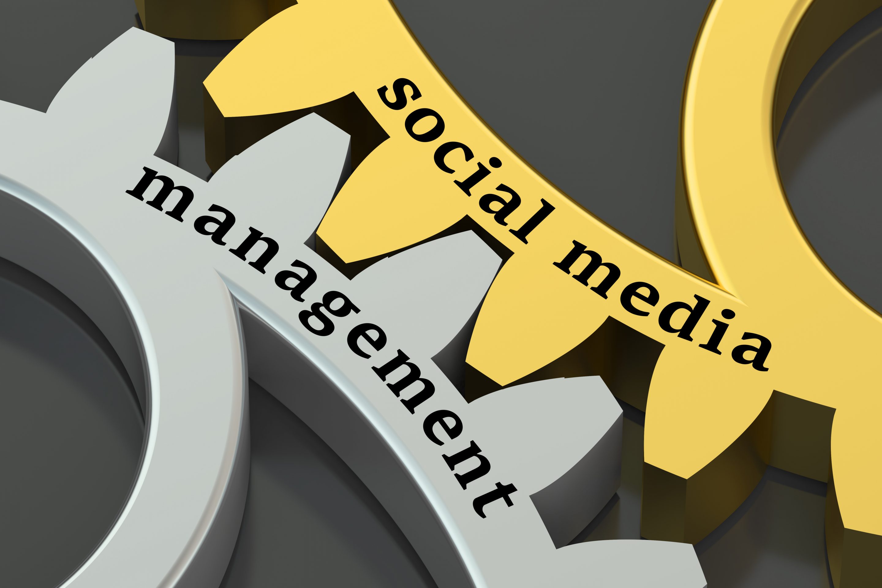 Social Media Management DMN8 Partners 859 757 2252