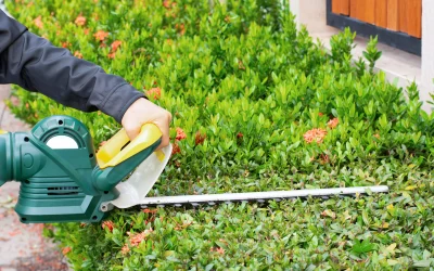 3 Secrets to Get More Landscaping Leads With Google Ads